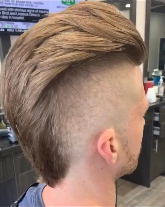 Taurus Barbershop haircut example 1