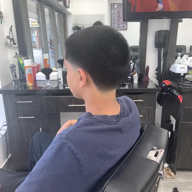 Taurus Barbershop haircut example 5